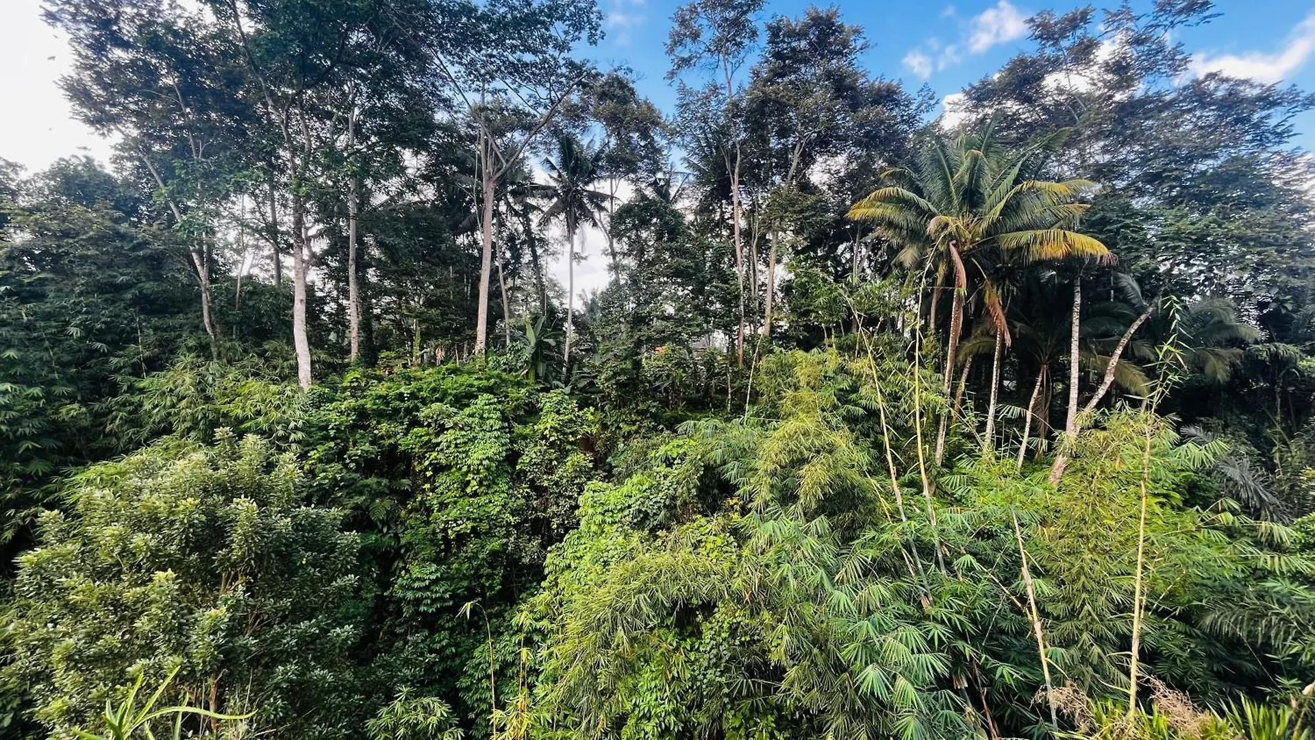 Holiday home Nadiya Jungle Ubud Home Indonesia
