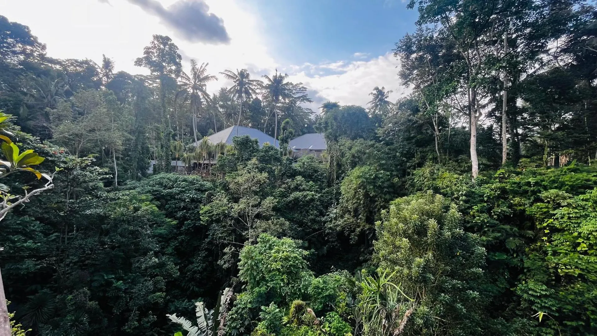 Nadiya Jungle Ubud Home